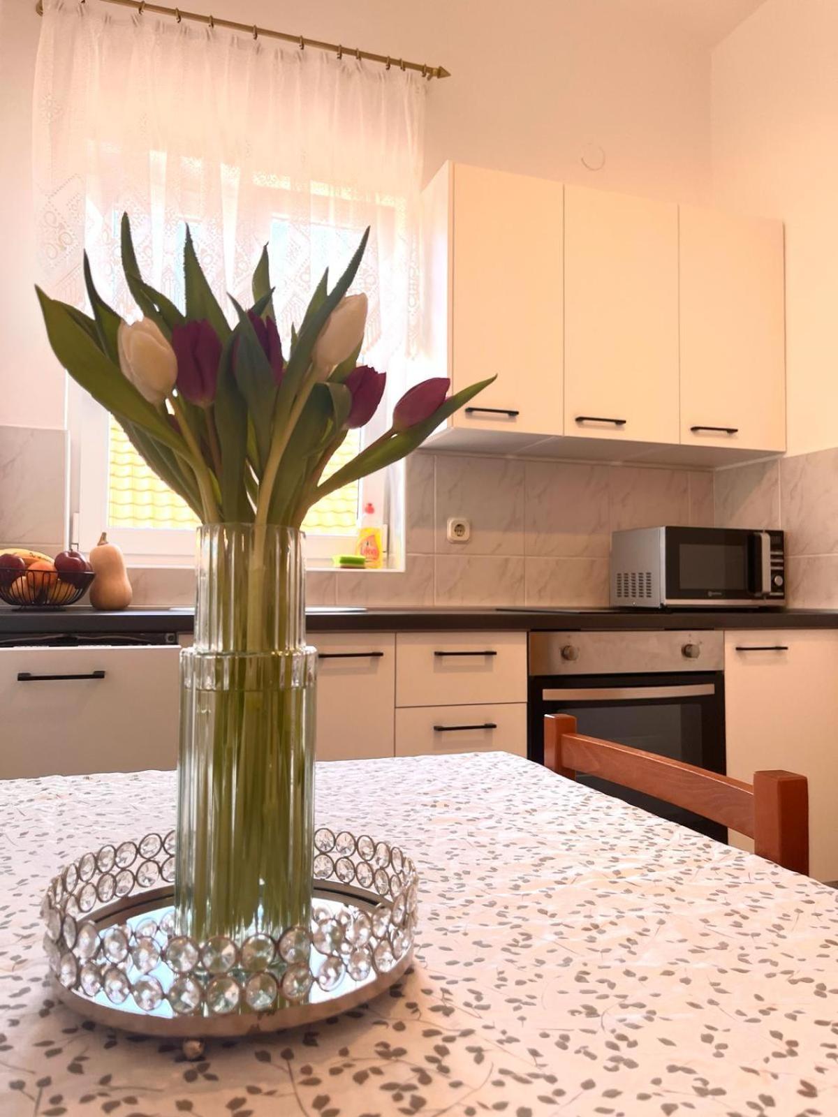 Family Holiday Apartments Lucia Vodice Extérieur photo